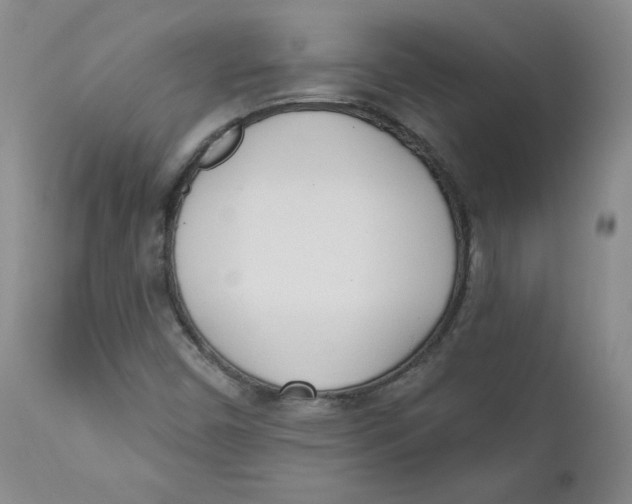 X0000110741450200907060956