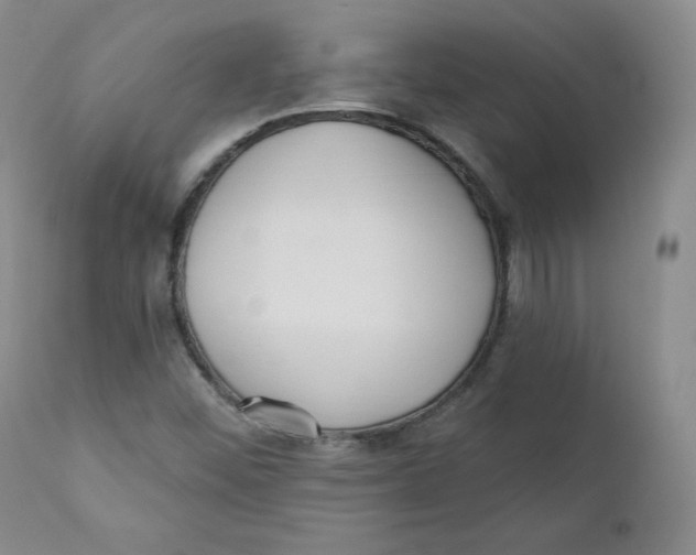 X0000110741452200907060956