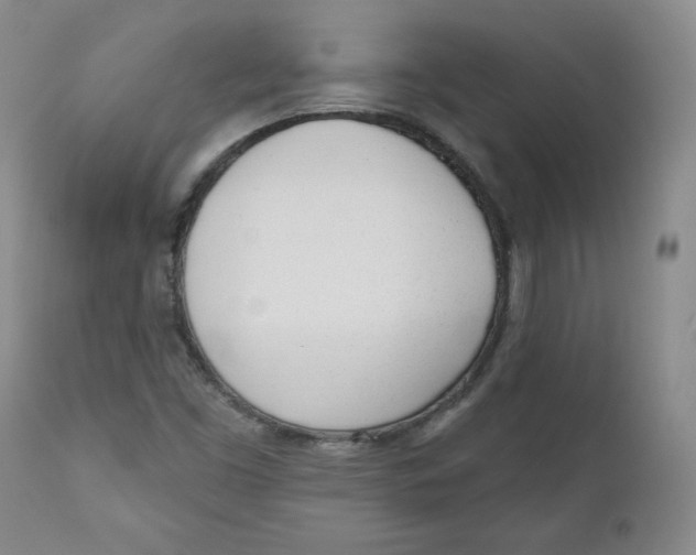 X0000110741453200907060956