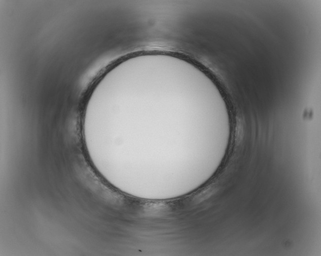 X0000110741454200907060956