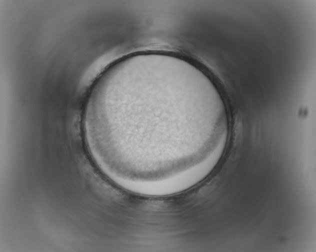 X0000110741455200907060956