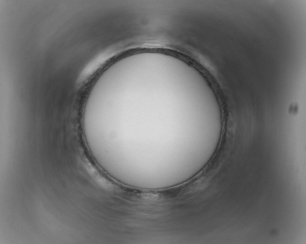 X0000110741456200907060956