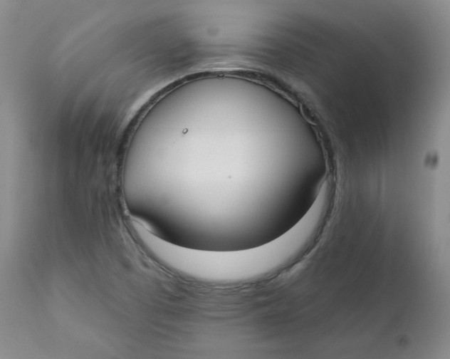 X0000110741457200907060956