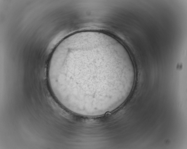 X0000110741459200907060956