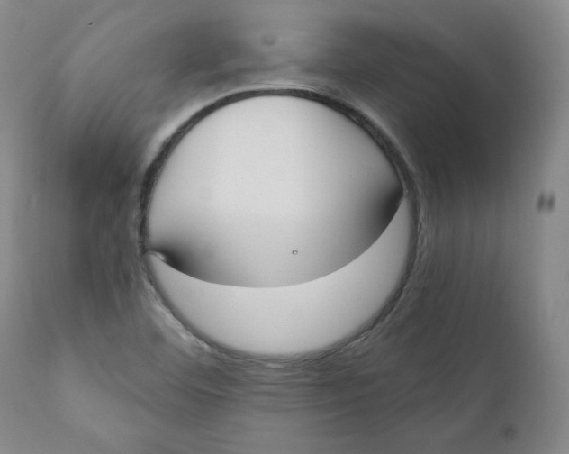 X0000110741460200907060956