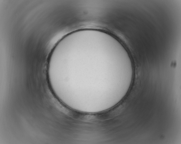 X0000110741463200907060955