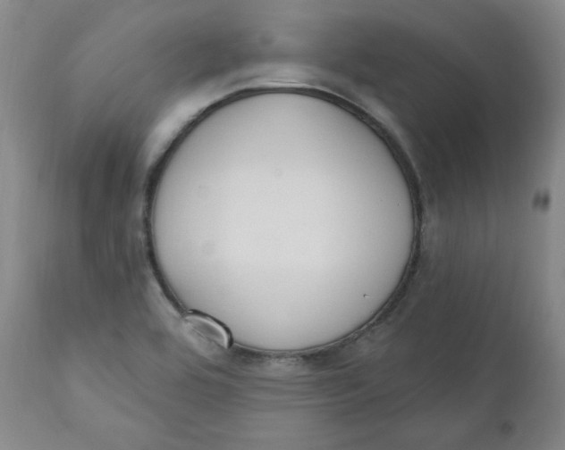 X0000110741464200907060955