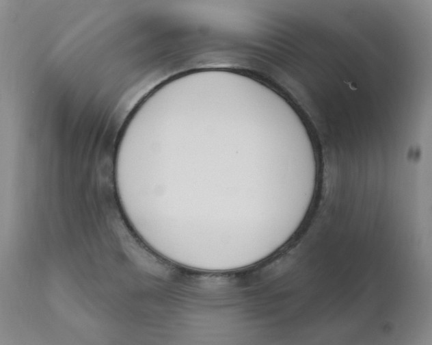 X0000110741465200907060955