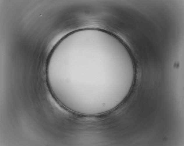 X0000110741468200907060955