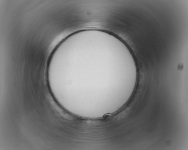 X0000110741469200907060955