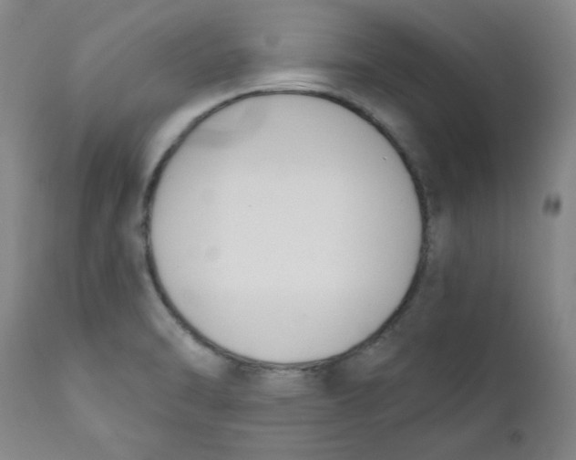 X0000110741470200907060955