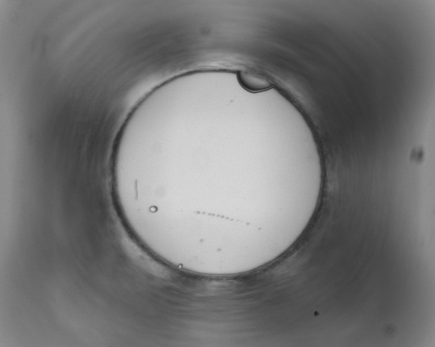 X0000110741471200907060955