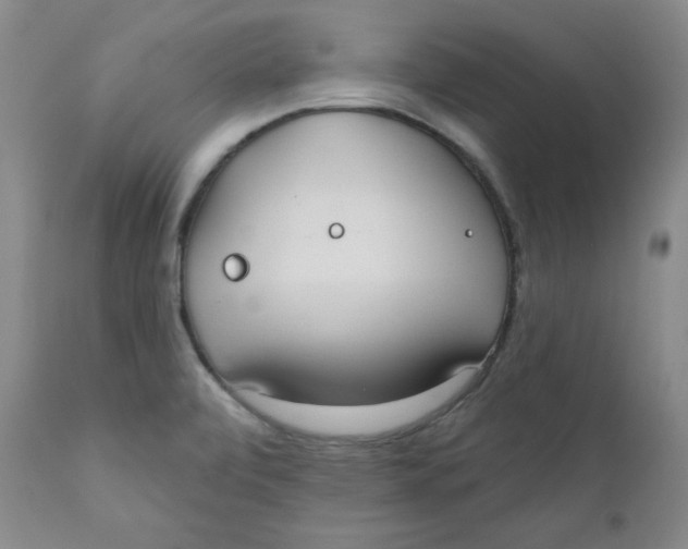 X0000110741472200907060955