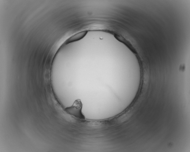 X0000110741473200907060955