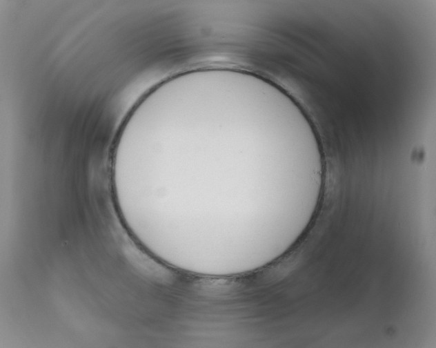 X0000110741474200907060955