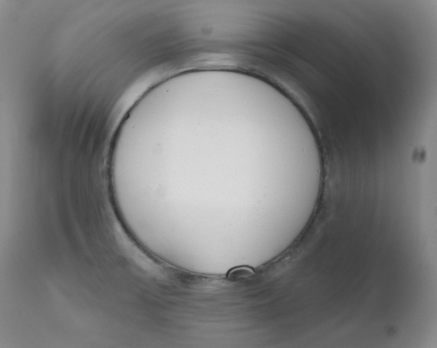 X0000110741475200907060955