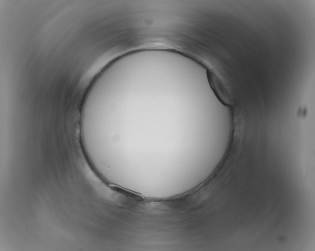 X0000110741476200907060955