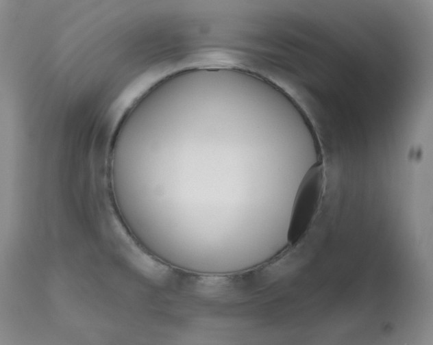 X0000110741477200907060955