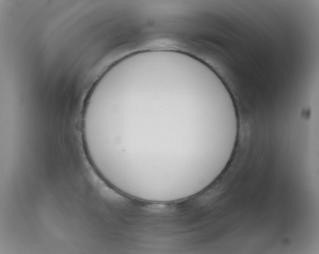 X0000110741478200907060955