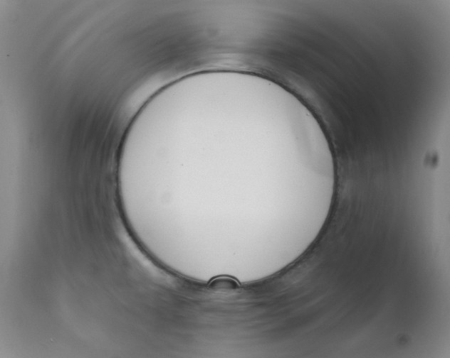 X0000110741479200907060955