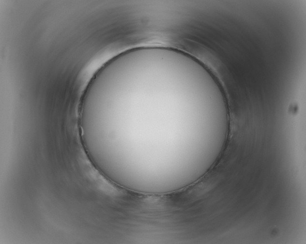 X0000110741480200907060955