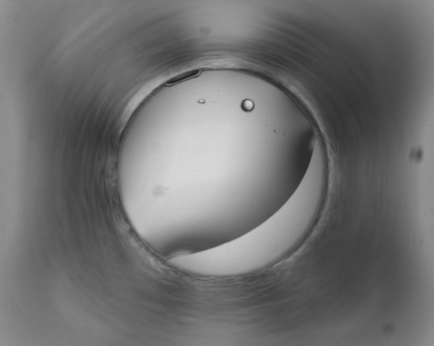 X0000110741481200907060955