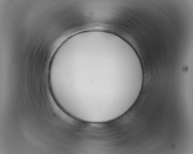 X0000110741483200907060955