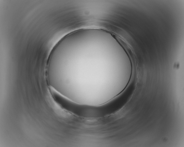 X0000110741484200907060955