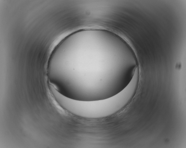 X0000110741485200907060955