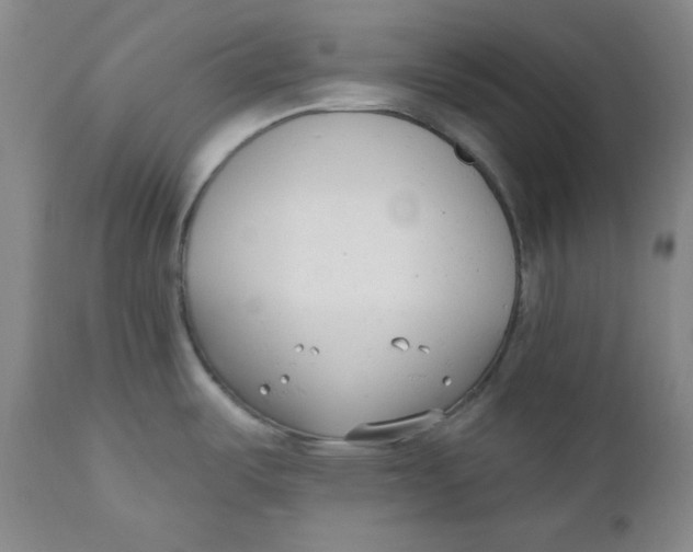 X0000110741487200907060955