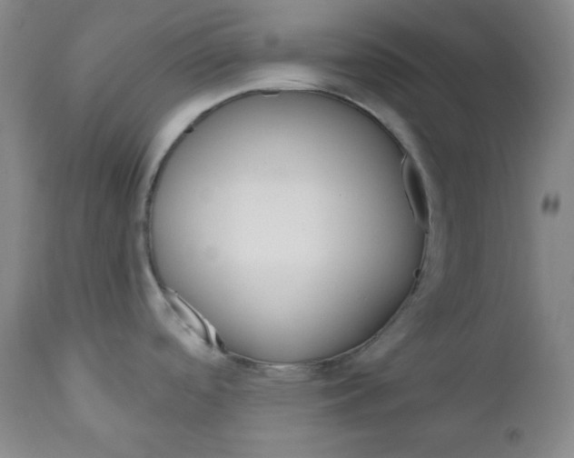 X0000110741488200907060955