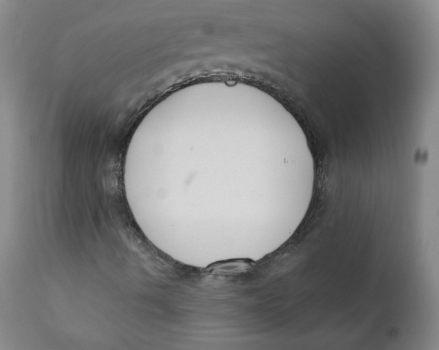 X0000110741490200907060955