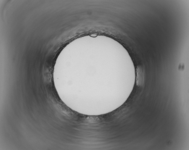 X0000110741491200907060955