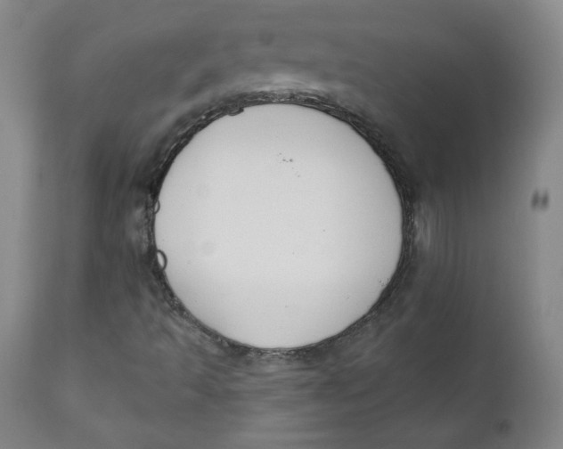 X0000110741493200907060955