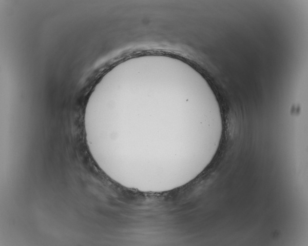 X0000110741494200907060955