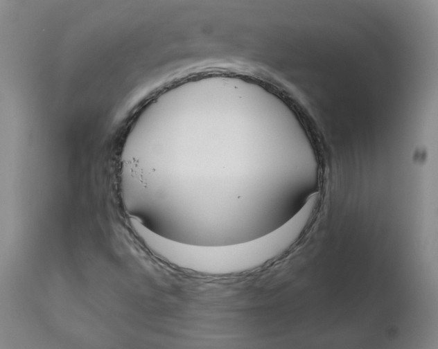 X0000110741496200907060955