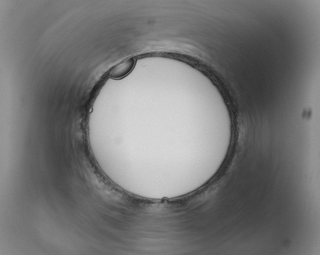 X0000110741497200907060955