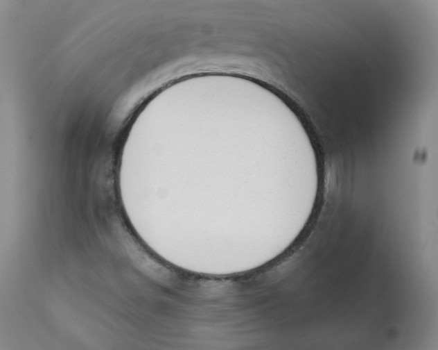 X0000110741498200907060955