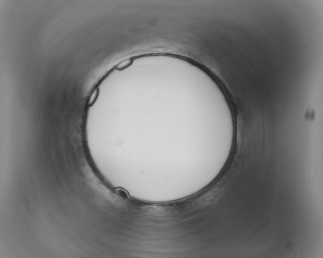 X0000110741500200907060955