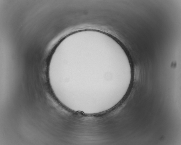 X0000110741502200907060955