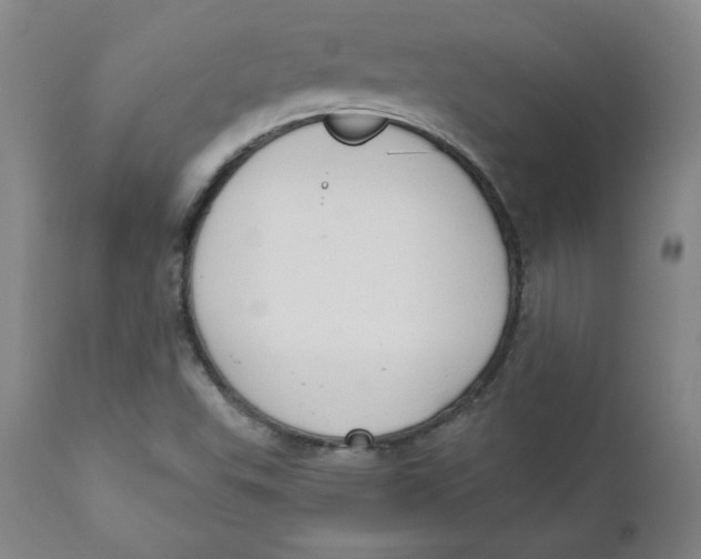 X0000110741503200907060955