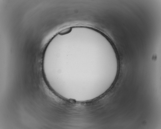 X0000110741504200907060955