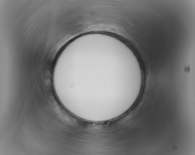 X0000110741505200907060955