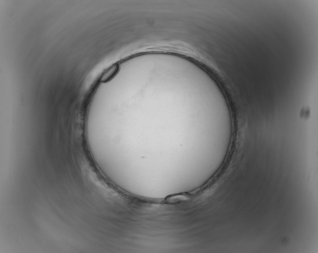 X0000110741506200907060955