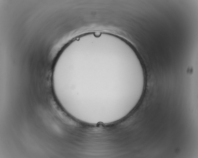 X0000110741507200907060955