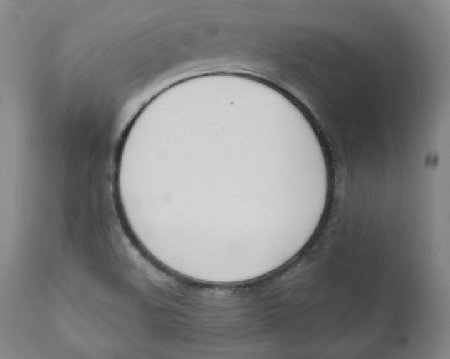 X0000110741508200907060955