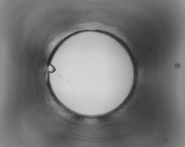 X0000110741509200907060955