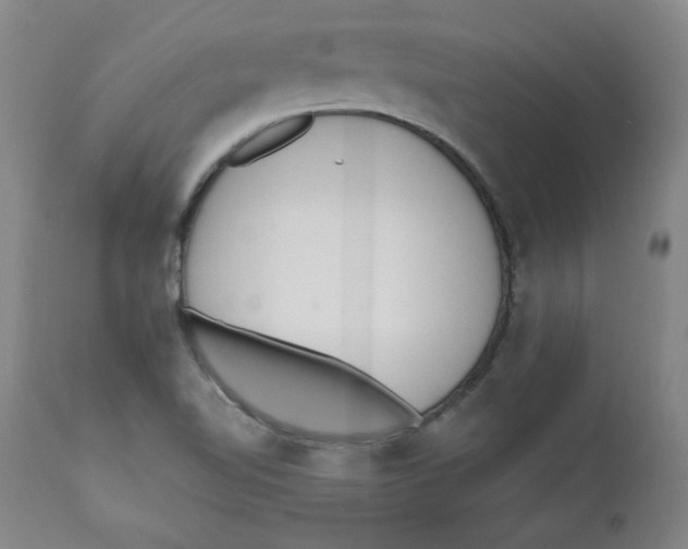 X0000110741510200907060955