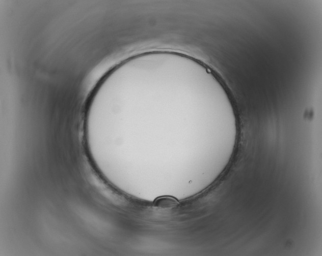 X0000110741511200907060955