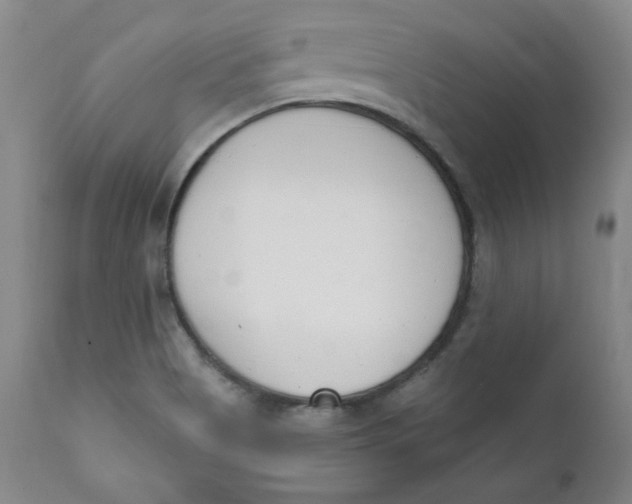 X0000110741513200907060955